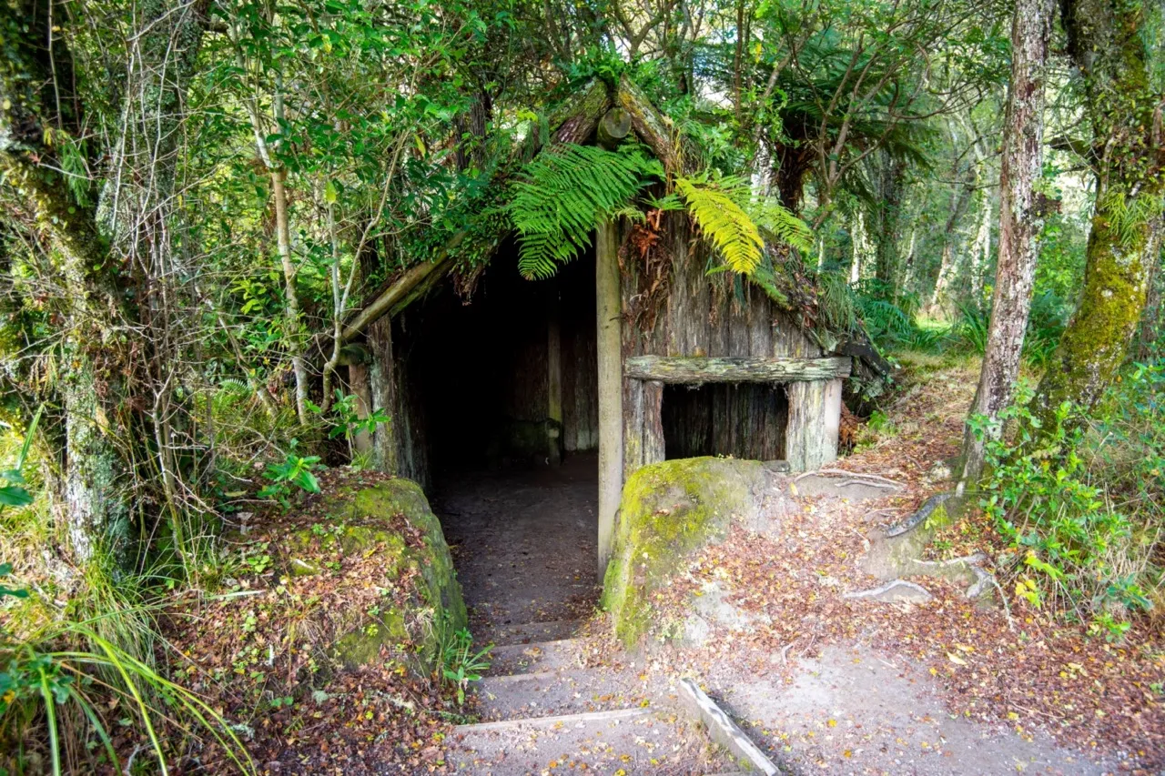Maori Buried Village
